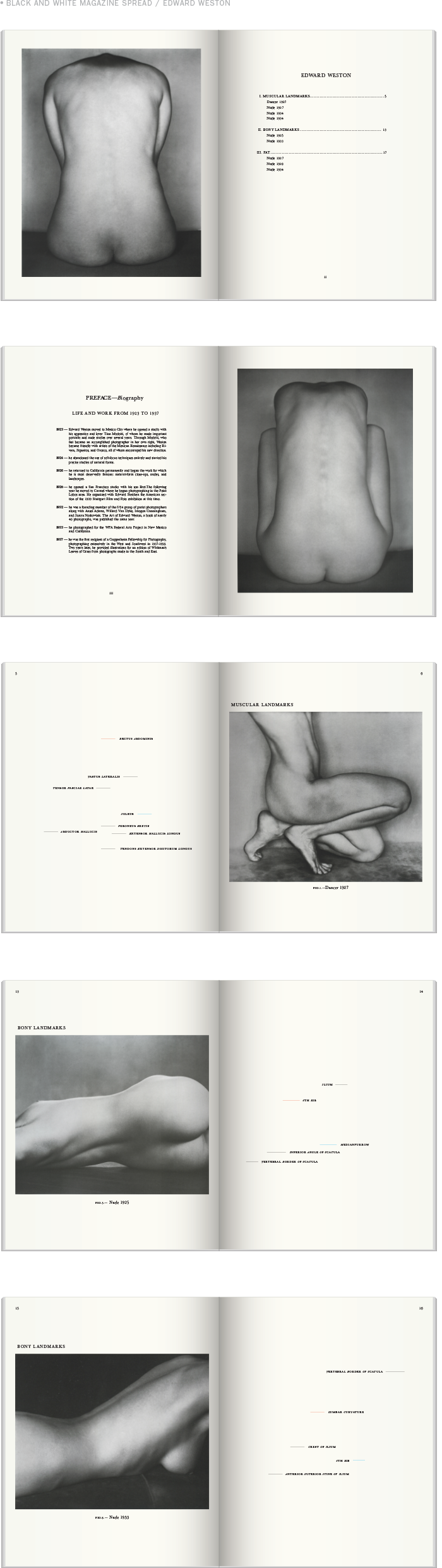 Black and White Magazine Spread Curating Edward Weston